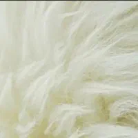 پشم گوسفندی