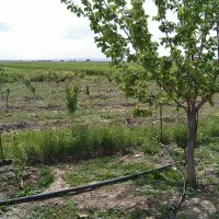 خانه ویلایی در روستای نزدیک شهر