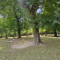 ویلاچهار-خواب-روستامرکیه-امروز-5تیرآماده-رزرو