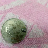 سکه قدیمی|کلکسیون سکه، تمبر، اسکناس|تهران, خزانه|دیوار