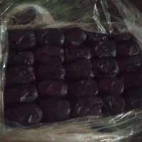 خرمایی تازه امسال