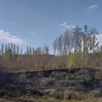 فروش باغ گیلاس  در روستای حور