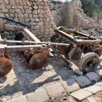 دو عدد دیکس برزیلی اصلی