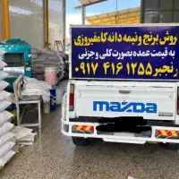 برنج و نیم دانه کامفیروزی