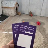 توی پودل جنسیت ماده