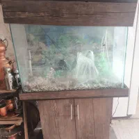 آکواریوم با همه وسایل