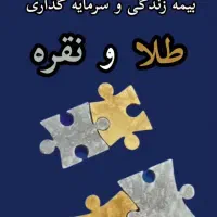 بیمهٔ طلایی و نقره‌ای سپر تورم و سرمایهٔ آرامش|خدمات مالی، حسابداری، بیمه|نجف‌آباد, باغ ملی|دیوار