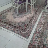 فرش ماشینی|فرش|اندیشه, اندیشه فاز ۵|دیوار