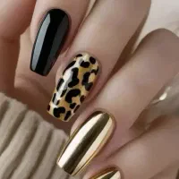 اجاره لاین ناخن مشتاق دوم