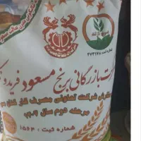برنج ایرانی سرچشمه ای