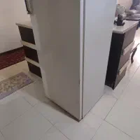 یخچال آزمایش ۱۰ فوت مرتب