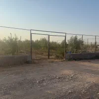 باغ بادام|فروش زمین و ملک کلنگی|زرندیه, |دیوار