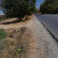 باغ سیب وهلودرجهان آباد