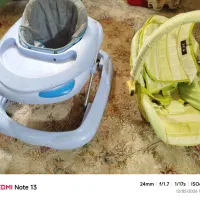 کریر و رورئک