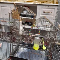 قفس پرنده|لوازم جانبی حیوانات|مشهد, محمدآباد|دیوار