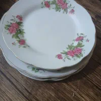 دیس غذا|ظروف سرو و پذیرایی|مشهد, هفت تیر (حافظ)|دیوار