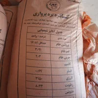 کنسانتره بره پرواری