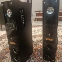 اسپیکر پانور حرفه ای سالم در حد نو