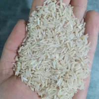 برنج علی کاظمی با کیفیت بدونه شکسته|خوردنی و آشامیدنی|سیروان, |دیوار