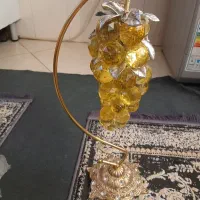 انگور تزئینی