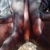 زین اشتوبن مدل  siegfried