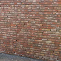 استابنادیوار چینی استم