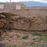 کود گوسفندی