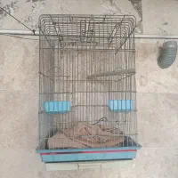 قفس بزرگ