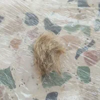 فروش گردن بند