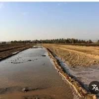 فروش یا اجاره  تلمبه کشاورزی بردسیر