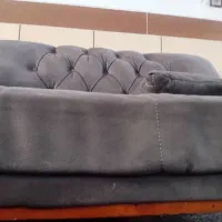 مبل چستر|مبلمان خانگی و میز عسلی|شاهرود, |دیوار