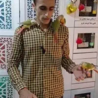 گرینچیک عروس هلندی طوطی برزیلی قناری ملنگو سهره