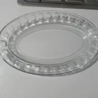 دوعدد دیس پلوخوری