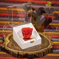 باکس و جعبه گل رز جاودان هدیه تولد و کادو|گل و گیاه طبیعی|تهران, دولاب|دیوار