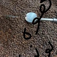 قهوه (رست) پخش عمده