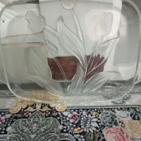 دیس میوه خوری نو