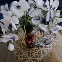 گل ارکیده و گل و گلدون