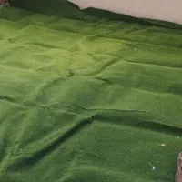 موکت در ابعاد ۲ در ۴/۵|موکت|تبریز, |دیوار