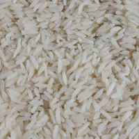 برنج هاشمی درجه یک ۲۵۰ کیلو