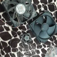 فن نو نو|پنکه و تصفیه‌کنندهٔ هوا|سوسنگرد, |دیوار