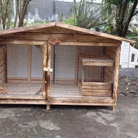 لانه جوجه مرغ|لوازم جانبی حیوانات|رشت, گلسار|دیوار