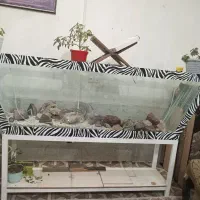 اکواریووم بزرگ 10 میل مخصوص ماهی سایز بزرگ