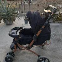 کالسکه کریر روروئک دلیجان