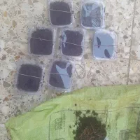 کرم خاکی زنده مخصوص ماهی گیری طعمه کپور|ماهیگیری|اصفهان, باغ فدک|دیوار