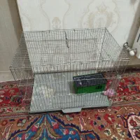 قفس پرنده