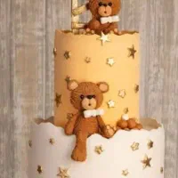 کودکانه،کیک|اسباب‌بازی بچه|زابل, |دیوار