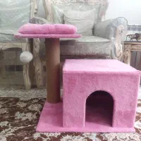 اسکرچر گربه