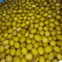 فروش زیتون کنسرو