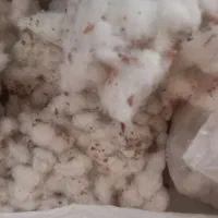 پنبه تمیز نشده سمنان|رختخواب، بالش، پتو|سمنان, |دیوار