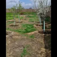 نیازمند سرایداری ونکهبانی